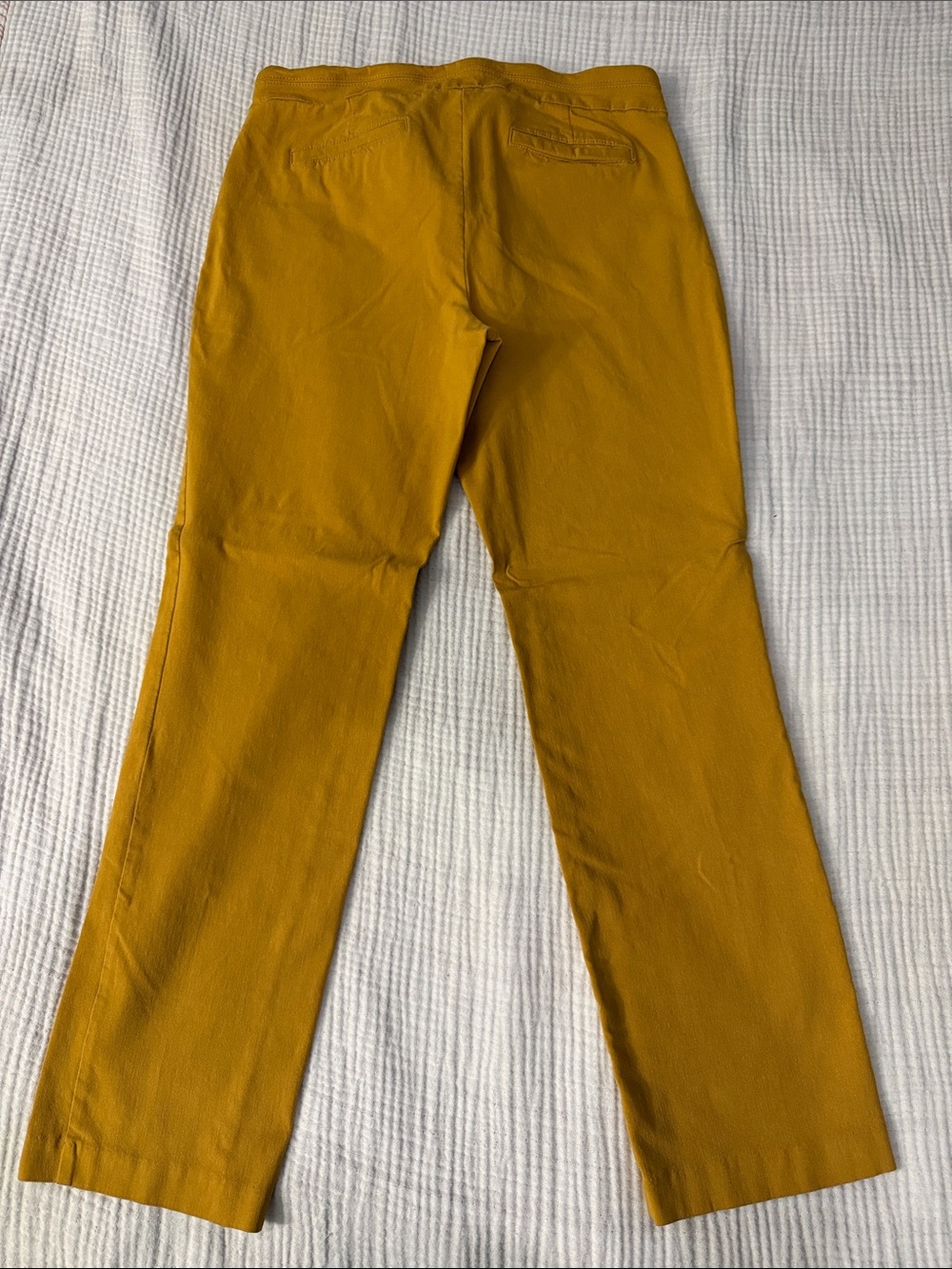 Briggs New York Men's Mustard Chinos